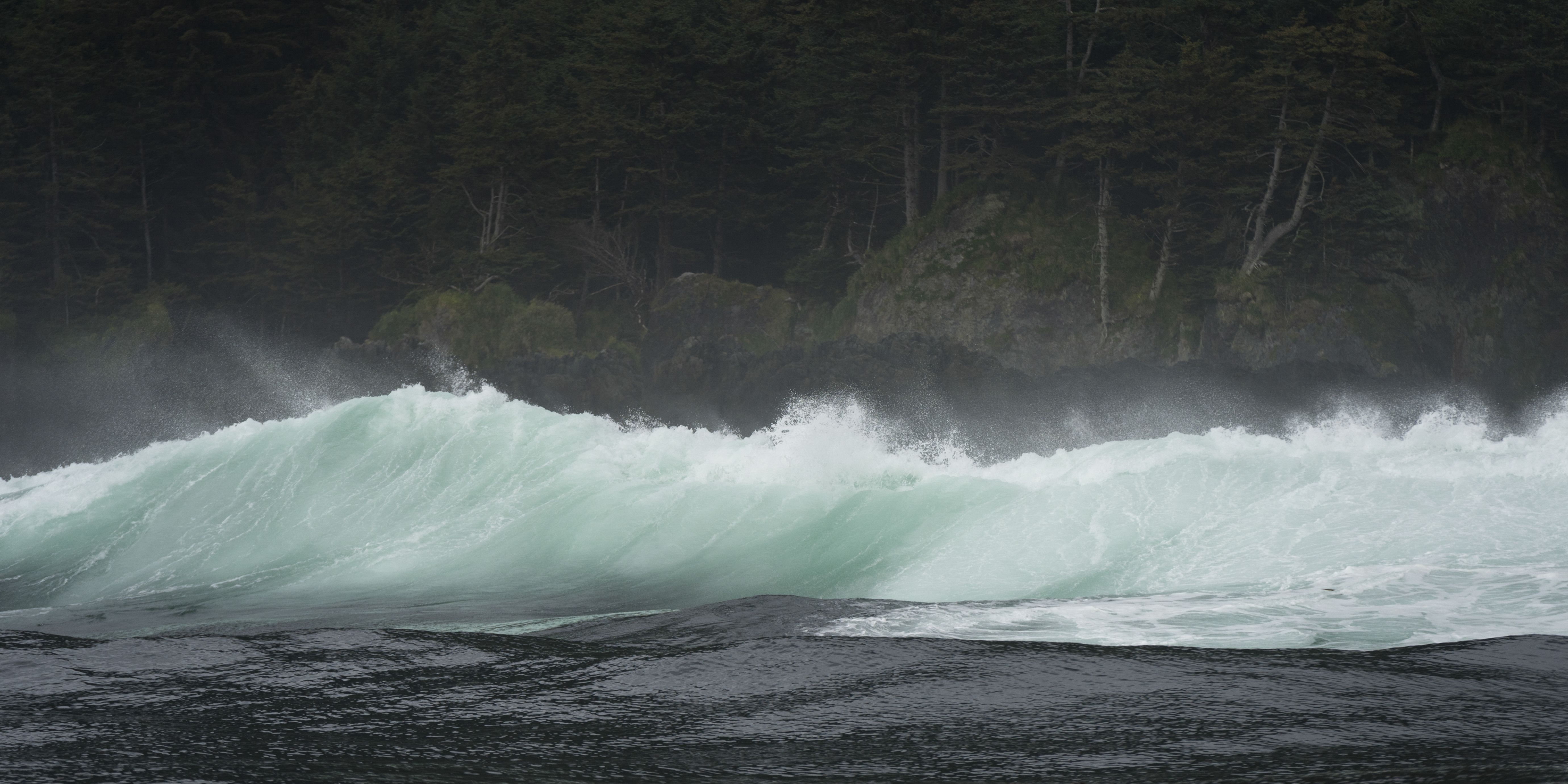 Northwest Coast — sea stacks in fog